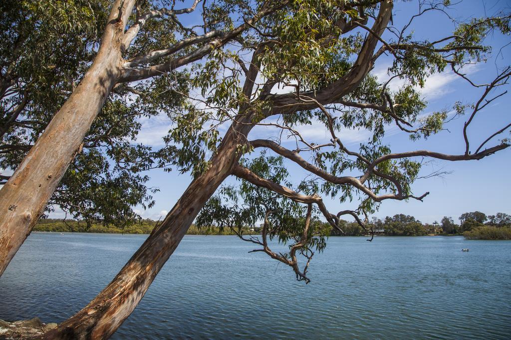 Colonial Tweed Holiday & Home Park Tweed Heads Dış mekan fotoğraf